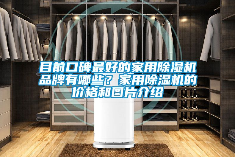 目前口碑最好的家用除濕機品牌有哪些？家用除濕機的價格和圖片介紹