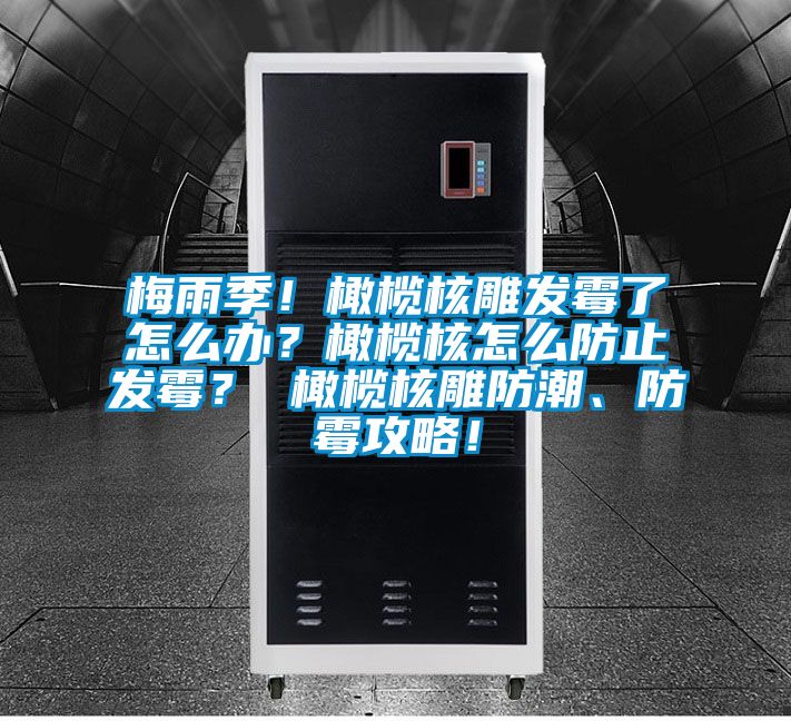 梅雨季！橄欖核雕發(fā)霉了怎么辦？橄欖核怎么防止發(fā)霉？ 橄欖核雕防潮、防霉攻略！