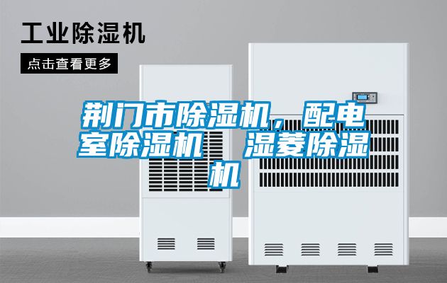 荊門(mén)市除濕機(jī)，配電室除濕機(jī)  濕菱除濕機(jī)
