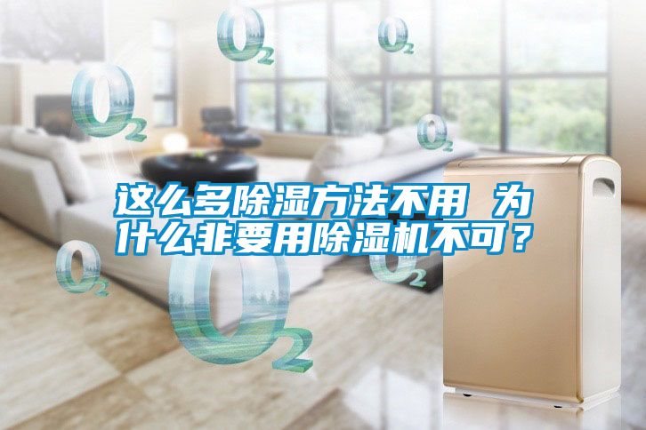 這么多除濕方法不用 為什么非要用除濕機(jī)不可？