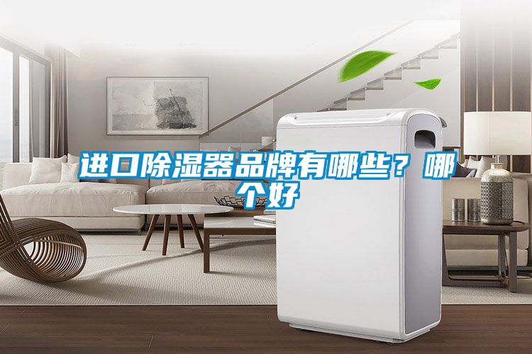 進(jìn)口除濕器品牌有哪些？哪個好