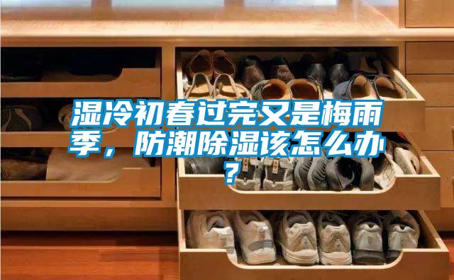 濕冷初春過(guò)完又是梅雨季，防潮除濕該怎么辦？
