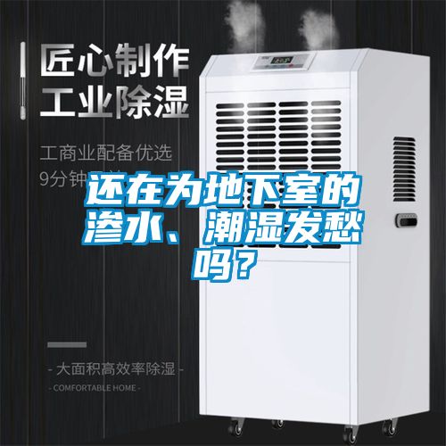 還在為地下室的滲水、潮濕發(fā)愁嗎？