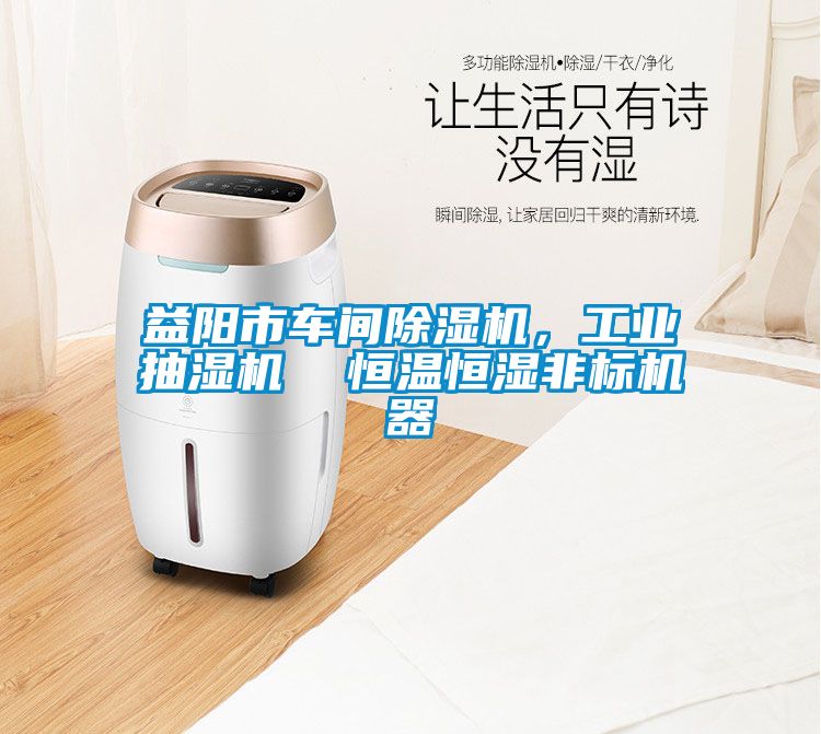 益陽市車間除濕機(jī)，工業(yè)抽濕機(jī)  恒溫恒濕非標(biāo)機(jī)器