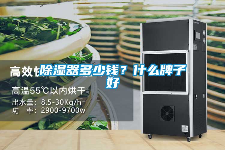 除濕器多少錢？什么牌子好
