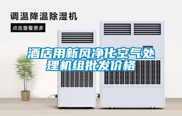 酒店用新風(fēng)凈化空氣處理機組批發(fā)價格