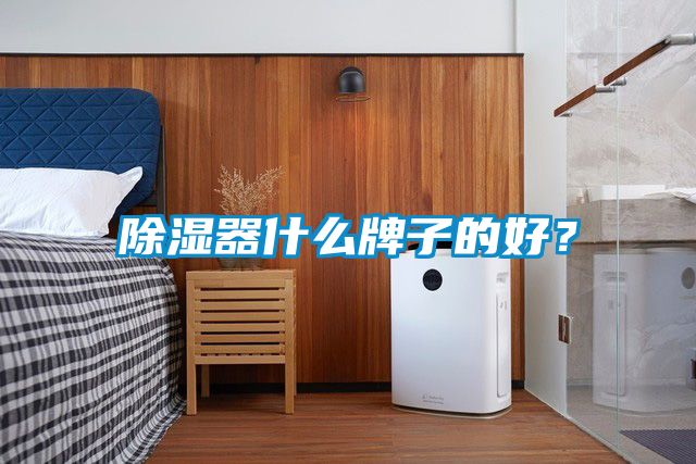 除濕器什么牌子的好？