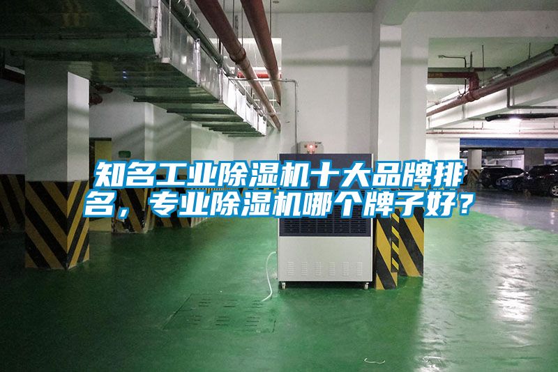 知名工業(yè)除濕機(jī)十大品牌排名，專業(yè)除濕機(jī)哪個牌子好？