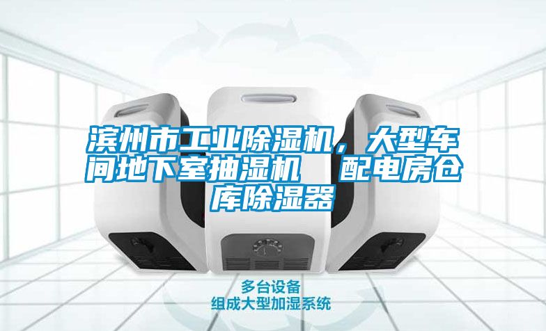 濱州市工業(yè)除濕機，大型車間地下室抽濕機  配電房倉庫除濕器