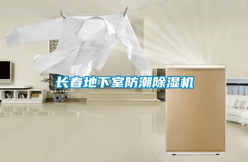 長(zhǎng)春地下室防潮除濕機(jī)
