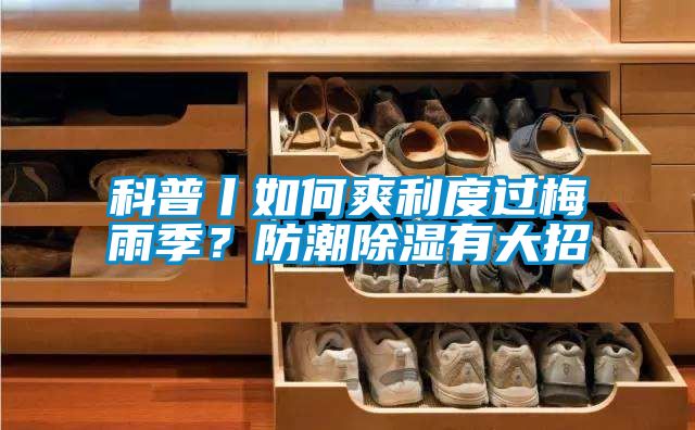 科普丨如何爽利度過(guò)梅雨季？防潮除濕有大招