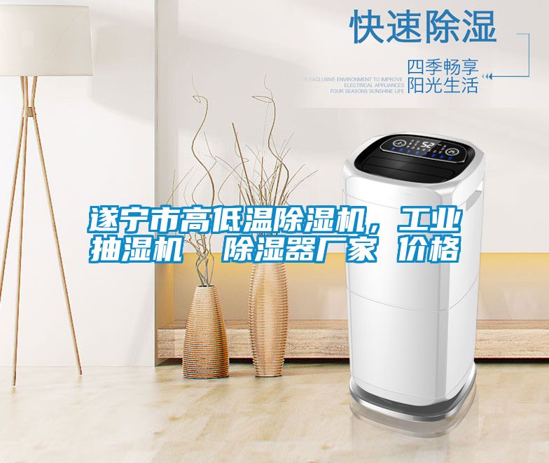 遂寧市高低溫除濕機(jī)，工業(yè)抽濕機(jī)  除濕器廠家 價(jià)格