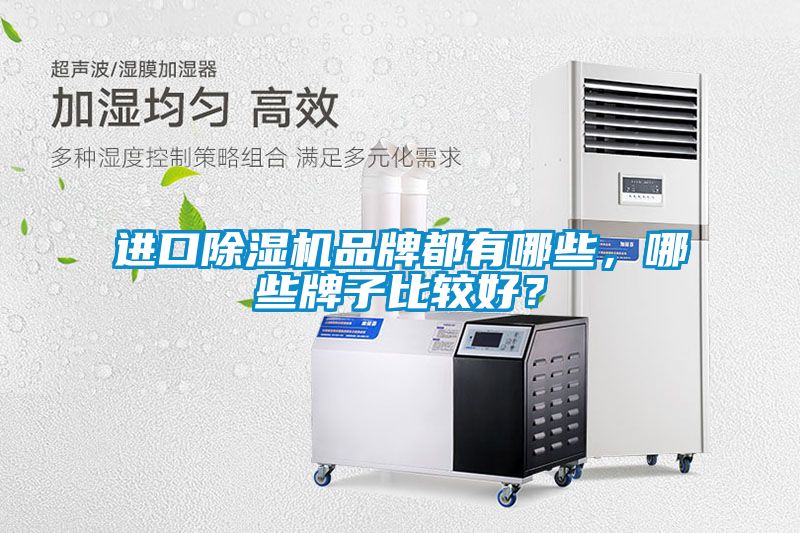 進(jìn)口除濕機(jī)品牌都有哪些，哪些牌子比較好？