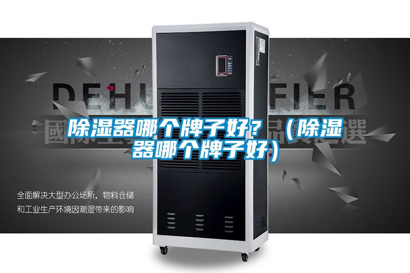 除濕器哪個牌子好？（除濕器哪個牌子好）