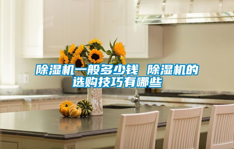 除濕機(jī)一般多少錢(qián) 除濕機(jī)的選購(gòu)技巧有哪些