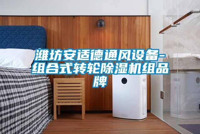 濰坊安適德通風設備-組合式轉(zhuǎn)輪除濕機組品牌
