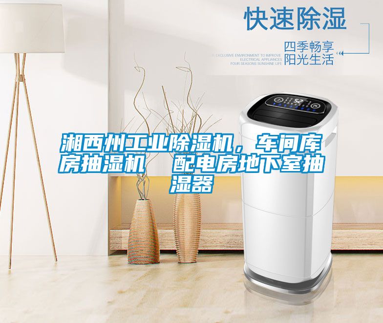 湘西州工業(yè)除濕機，車間庫房抽濕機  配電房地下室抽濕器