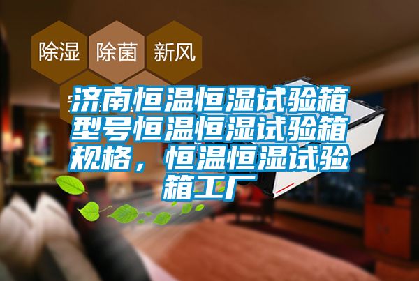 濟南恒溫恒濕試驗箱型號恒溫恒濕試驗箱規(guī)格，恒溫恒濕試驗箱工廠