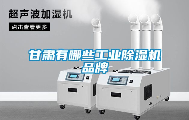 甘肅有哪些工業(yè)除濕機品牌