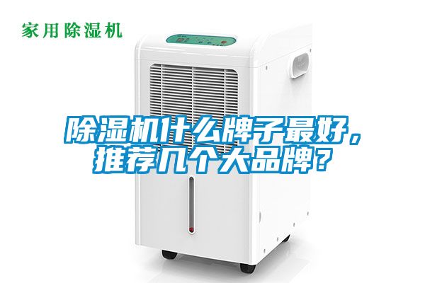 除濕機(jī)什么牌子最好，推薦幾個大品牌？
