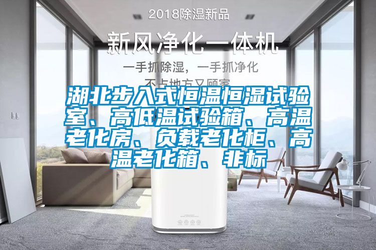 湖北步入式恒溫恒濕試驗室、高低溫試驗箱、高溫老化房、負載老化柜、高溫老化箱、非標