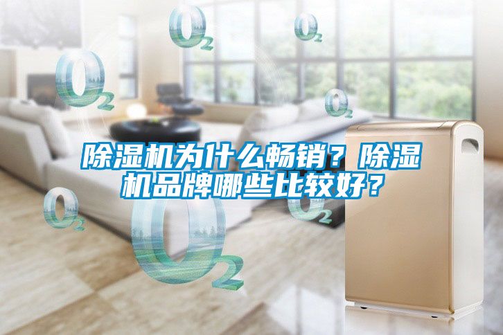 除濕機(jī)為什么暢銷？除濕機(jī)品牌哪些比較好？