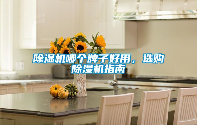 除濕機(jī)哪個(gè)牌子好用，選購除濕機(jī)指南