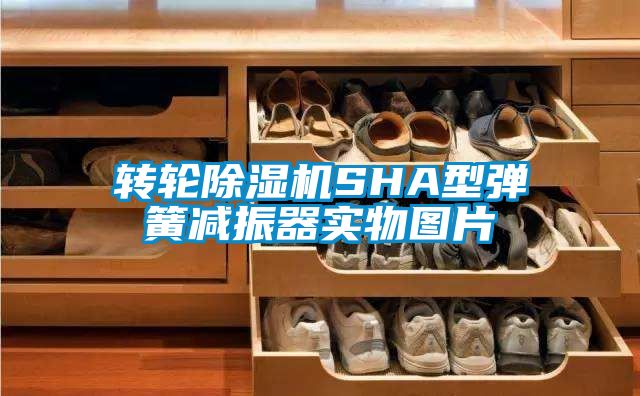 轉(zhuǎn)輪除濕機SHA型彈簧減振器實物圖片