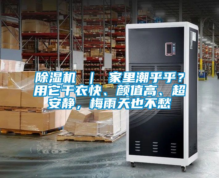 除濕機 ｜ 家里潮乎乎？用它干衣快、顏值高、超安靜，梅雨天也不愁