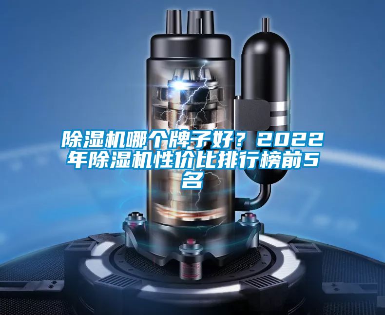 除濕機(jī)哪個牌子好？2022年除濕機(jī)性價比排行榜前5名