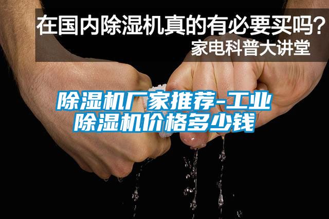 除濕機(jī)廠(chǎng)家推薦-工業(yè)除濕機(jī)價(jià)格多少錢(qián)