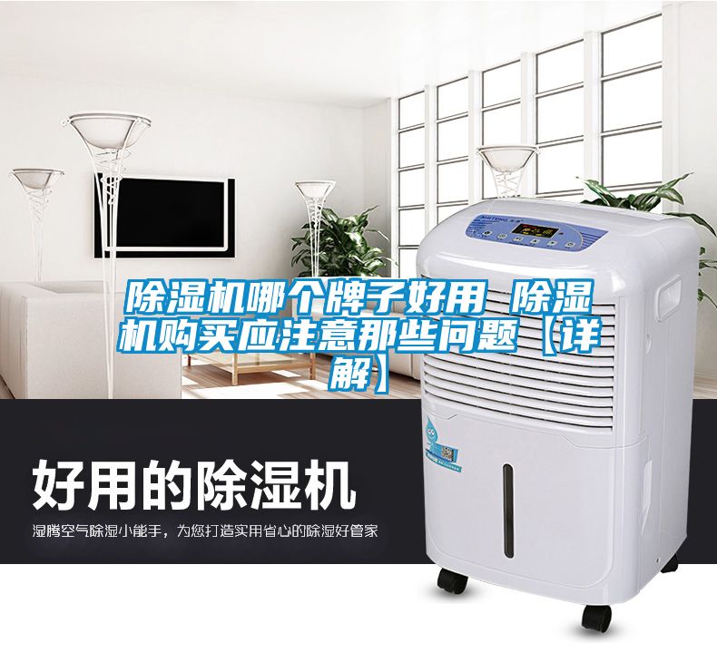 除濕機(jī)哪個(gè)牌子好用 除濕機(jī)購(gòu)買應(yīng)注意那些問題【詳解】
