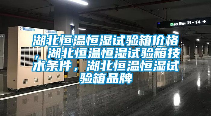 湖北恒溫恒濕試驗箱價格，湖北恒溫恒濕試驗箱技術(shù)條件，湖北恒溫恒濕試驗箱品牌