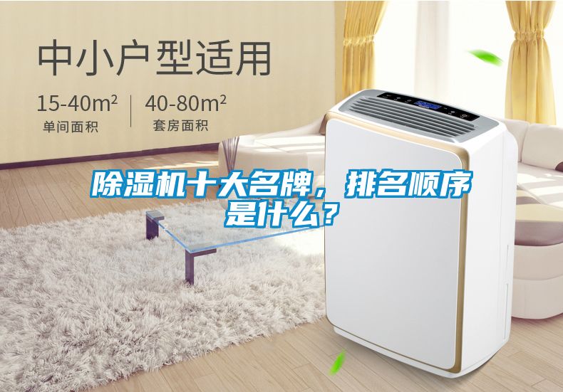除濕機十大名牌，排名順序是什么？