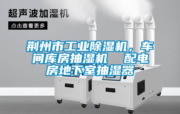荊州市工業(yè)除濕機，車間庫房抽濕機  配電房地下室抽濕器