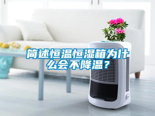簡(jiǎn)述恒溫恒濕箱為什么會(huì)不降溫？