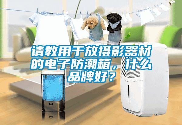 請(qǐng)教用于放攝影器材的電子防潮箱，什么品牌好？