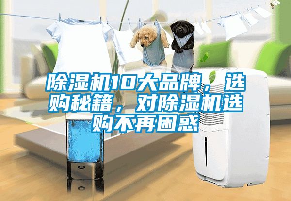 除濕機(jī)10大品牌，選購(gòu)秘籍，對(duì)除濕機(jī)選購(gòu)不再困惑