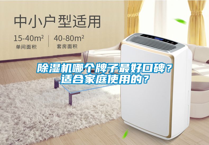 除濕機哪個牌子最好口碑？適合家庭使用的？