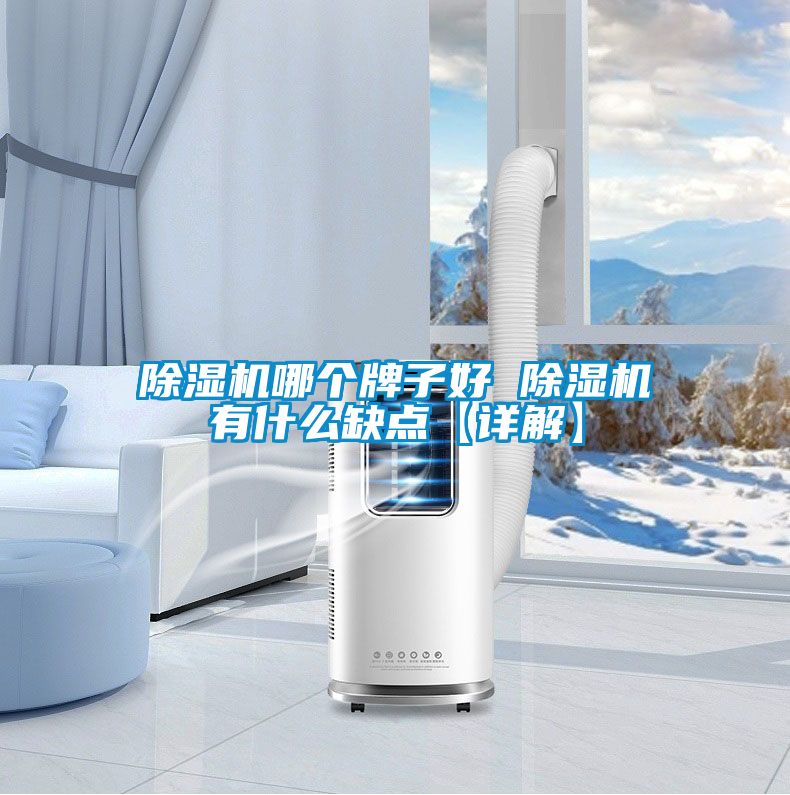 除濕機(jī)哪個牌子好 除濕機(jī)有什么缺點(diǎn)【詳解】