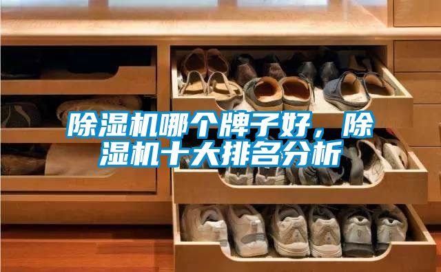 除濕機(jī)哪個(gè)牌子好，除濕機(jī)十大排名分析