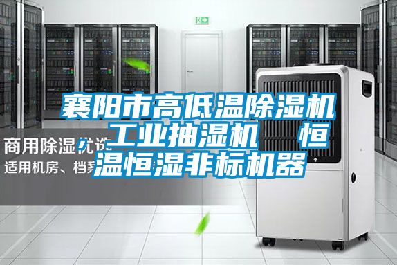 襄陽市高低溫除濕機(jī)，工業(yè)抽濕機(jī)  恒溫恒濕非標(biāo)機(jī)器