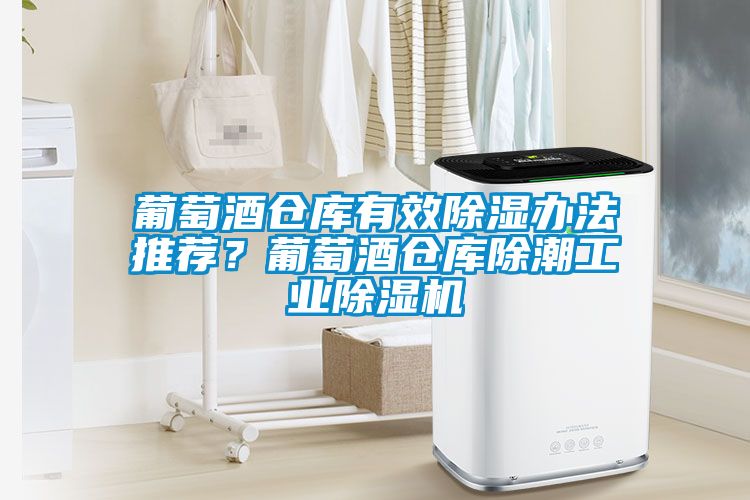 葡萄酒倉(cāng)庫(kù)有效除濕辦法推薦？葡萄酒倉(cāng)庫(kù)除潮工業(yè)除濕機(jī)