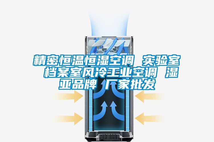 精密恒溫恒濕空調(diào) 實(shí)驗(yàn)室 檔案室風(fēng)冷工業(yè)空調(diào) 濕亞品牌 廠(chǎng)家批發(fā)