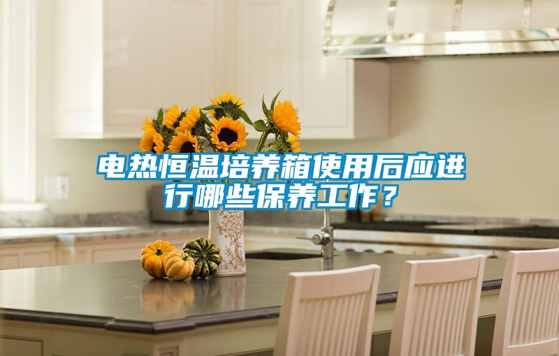 電熱恒溫培養(yǎng)箱使用后應進行哪些保養(yǎng)工作？