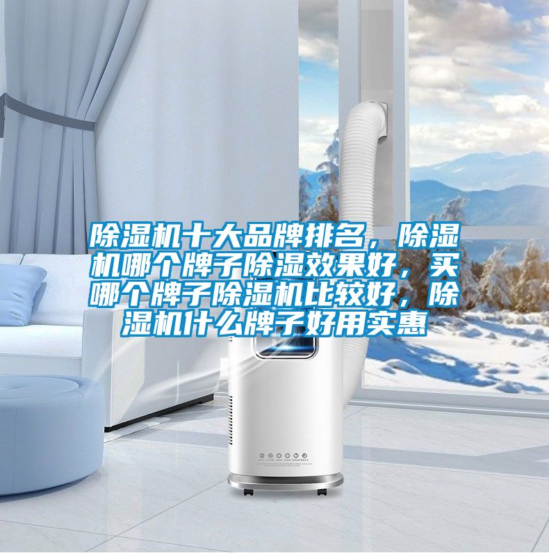 除濕機(jī)十大品牌排名，除濕機(jī)哪個(gè)牌子除濕效果好，買哪個(gè)牌子除濕機(jī)比較好，除濕機(jī)什么牌子好用實(shí)惠