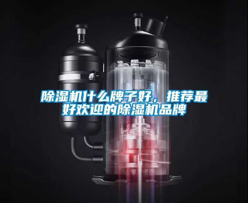 除濕機什么牌子好，推薦最好歡迎的除濕機品牌