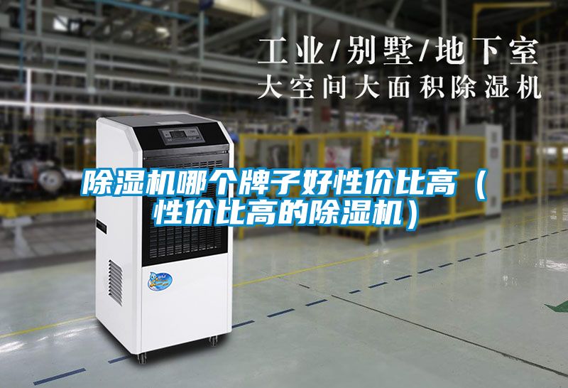 除濕機(jī)哪個牌子好性價比高（性價比高的除濕機(jī)）