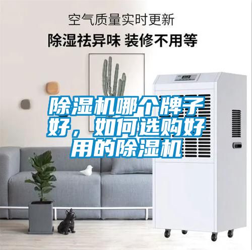 除濕機(jī)哪個(gè)牌子好，如何選購(gòu)好用的除濕機(jī)