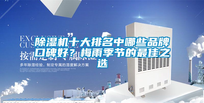 除濕機十大排名中哪些品牌口碑好？梅雨季節(jié)的最佳之選